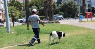 Karşıyaka'da temizlik görevlisinin sokak köpeği ile bağı...