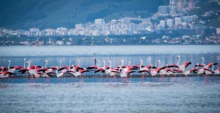 İzmir’de su kalitesi 141 noktada mükemmel