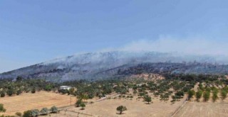 Foça'daki orman yangını kontrol altına alındı